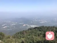 做好自己就好，做自己真正的主人。

當你真的內心強大且富足就會發現外在一切不足為懼，反而會更加認清自己是誰。配圖