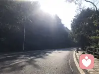 打不死的小強，任何時候都能站起來，這就是能扛事的本事。??配圖