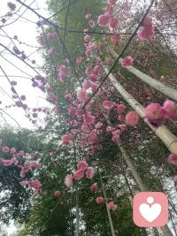 有些总被放弃的“好”男生，问题出在哪里？

很久没有写随笔了，最近感触很多。
因为我发现在我的男来访咨询里面，出现的情感问题，这个还蛮典型的，就写下来分享分享。

有一类男生，在感情里真的很愿意付出，也很认可女朋友，甚至会放低自己，很卑微、很讨好，可偏偏在关系里总是不讨好，最后往往也是先被放弃的那一个。

他们自己觉得特别委屈，可女生跟他们相处久了，只会越来越烦躁、越来越累。
问题很多时候，就出在防御性倾听和被动攻击上，自己都没意识到。

比如女朋友说“今天工作好累，想自己待会儿”，他嘴上说“好，你休息”，心里却觉得“她是不是烦我了”，然后默默生闷气，回消息变慢，女朋友问他怎么了，他又说“没事”，这种就是防御性倾听加被动攻击。

还有女朋友抱怨“你上次答应陪我看电影又忘了”，他不道歉反而说“我最近加班那么多，你就不能体谅一下吗”，把问题推给对方，其实是用攻击掩盖自己的愧疚。

再比如平时对女朋友百依百顺，可一旦对方没满足他的期待，他就会冷战，或者说“反正我说什么你都不听”，这种讨好后的“报复性冷漠”，只会让对方觉得相处起来特别累。

男生这边，越怕失去、越讨好，就越敏感、越防御；
女生那边，感受到的全是不被理解、不被尊重、一直被否定。

一个觉得自己掏心掏肺，一个觉得相处越来越窒息。
慢慢就走进了死循环，谁都不舒服，最后只能走散。

这里的卡点是男生很难觉察到自己的问题，感受不到那种苦说不出的难受，被暗戳戳攻击的莫名愤怒感，内心很委屈：我都这么让步、这么用心了，你为什么还是不满意？
甚至到最后，还会有点摸不着头脑，隐隐觉得是女生太挑剔、太难哄。

明明是两个人的沟通错位，最后却变成了：
他觉得自己爱得很卑微，
她觉得自己过得很压抑。
一段好好的感情，就这么被悄悄消耗完了。