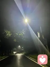 重陽為什么要登高？
秋風起，菊花黃，九九重陽至，你是否知道，這登高望遠的習俗背后，藏著一個古老而溫馨的故事?
在陜西關中一帶，有個莊戶人家，勤勞善良，日子和和美美。一天，主人從地里歸來，偶遇一算卦先生，天色已晚，便邀其至家中過夜。雖家境貧寒，只有草棚一間，但他們依然傾其所有，熱情款待。算卦先生臨行前，留下一句神秘的叮嚀:“到了九月九，全家高處走。”’
莊戶人雖不解其意，但出于對先生的信任，決定在重陽之日，帶著家人登高游玩。而就在他們登上驪山之巔，俯瞰山川的那一刻，家中草棚竟被突如其來的山洪沖毀，整個山溝都被淹沒。這時，莊戶人才恍然大悟，算卦先生的叮嚀，原來是為了救他們一命!
自那以后，每逢農歷九月九，人們便扶老攜幼，登高望遠，不僅是為了欣賞秋日的壯麗景色，更是為了銘記這段古老的智慧與守護。登高，不僅是對自然的敬畏，更是對生活的珍惜與感恩。
居住在平原的百姓因無山可
登，就在重陽節這天在自制的米粉糕點上插上一面彩色小三角旗，以示登高(糕)，有辟邪之意。配圖