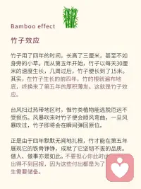 天學點心理學：竹子效應！配圖