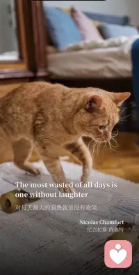 對，每天最大的浪費就是沒有歡笑！配圖