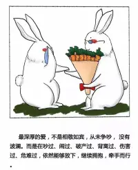 過不好又離不了的婚姻，只有兩條路可以走：要么離，要么修復關系。但是很多人既不離也不修復，而是不停抱怨，拖著不解決。最終的結果，要么你會越來越壓抑，內耗的不行，還把自己憋出一身病，要么就是你們的婚姻形同虛設，湊合著往下過。其實，沒有離不了的婚，也沒有過不好的日子，就看你要怎么做了。配圖