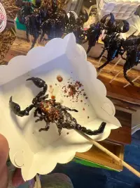 別讓欲望超出你的能力，當(dāng)你給不起的時候，深情也變成了一種自私，你給的竭盡全力，就是配不上它最基本的消費(fèi)觀，光喜歡沒有用，強(qiáng)者談匹配，弱者談感受，沒有實(shí)力的溫柔最廉價。這世上所有的錯過，都是因為不夠格，只能怪一直踮起腳，去夠自己能力以外的喜歡，耽誤了它的未來，也拖垮了自己的現(xiàn)在！配圖