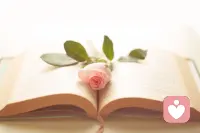 精神食糧，可治愈一切！讓我們學會用知識的力量來武裝大腦，豐富身心做一個眼里有光，心里有愛的人！愛你們，愛世界！配圖