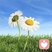 不被理解的行為背后都有一份未曾被滿足的渴望，這份未被滿足的渴望往往來自于原生家庭，作為成年人，自己要覺察這份渴望是什么，自己去滿足還是孩子的內在自我，作為家長，我們要有能力看到孩子的渴望，去滿足孩子，不要讓孩子帶著太多太深的原生家庭的缺失，否則孩子成年后會非常辛苦的去尋尋覓覓，就像現在的我們！！配圖