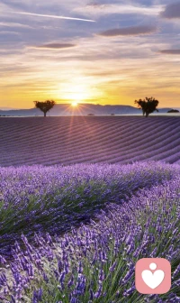 morning~做一個內心充滿陽光的人。
對每一件熱愛的事物全力以赴。
時光，一定會讓你滿載而歸配圖