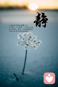 讓心，在陽光下學會舞蹈；讓靈魂，在痛苦中學會微笑。配圖