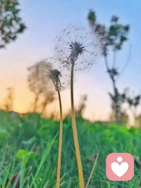 如果心情不好，就去跑步吧，盡情的流汗，將所有的壞情緒都釋放出去，如果有條件，就去旅行，去那些夢想的地方，將負面的情緒灑在旅途中。如果這些還不夠，你可以去醫院轉轉，傾聽那些真誠的祈禱，你會明白心情在健康面前的重要性。壞情緒呢，都來源于過去，但我希望你不要停留在過去，過去已經過去，我們能把握的只有今天和明天。配圖