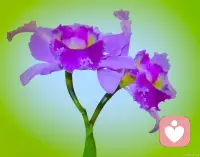 心靈排毒的5個小貼士
1、自我合理宣泄，找人傾訴、痛哭和寫日記;
2、情志轉(zhuǎn)移，把注意力轉(zhuǎn)移到平時感興趣和喜歡的事上;
3、自我理性升華，看書，看好電影，接觸自己喜歡的人，充實自己的內(nèi)心世界;
4、適度讓步，退一步海闊天空，給自己心理上的解脫;
5、自我遺忘，忘記不愉快的事情。配圖