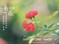 你只負責向前，時間會把你變優秀
生活本身就是一條河，它需要激流，但更多的時候，它是平靜向前的。擁有平靜之心，才能體會到生活的真諦-不因人事而精疲力竭，不因情感而患得患失。配圖