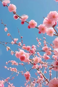 不要著急去消除癥狀。癥狀是身體的自我保護(hù)和反應(yīng)。如果咨詢的過程中沒能找到癥狀背后的原因，那么消除這個(gè)癥狀，還會(huì)有別的癥狀冒出來。是打不完的地鼠。人生總要有一段與病痛共舞的艱難歲月。-李鳴配圖