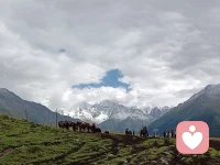 大家好，我是開心紅姐，很高興在這個平臺遇見你。
情緒沒有好壞之分，你的表達同樣如此，我的傾聽是對你的接納和包容，我的表達是我人生經歷的分享。配圖