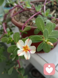 伙伴們，你想到過站在遠處看看自己嗎？

    看看家庭中的自己，看自己的所為是否符合自己的角色；看看工作中的自己，看自己以一種什么狀態在工作；再看看自己的身材，看自己的生命狀態如何。

      人生如同一場戲，家庭中盡己所能演好自己的角色（不越界）；如果工作不能使你感到幸福，就以幸福的心態去工作；對自己的身材不滿意，就調整自己的生命狀態以自己舒服的方式去生活。做好我們能做的，專心演好自己的角色，豈不更好。

      外面沒有別人，只有自己。[咖啡]配圖