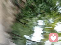 伙伴們，你想到過站在遠處看看自己嗎？

    看看家庭中的自己，看自己的所為是否符合自己的角色；看看工作中的自己，看自己以一種什么狀態在工作；再看看自己的身材，看自己的生命狀態如何。

      人生如同一場戲，家庭中盡己所能演好自己的角色（不越界）；如果工作不能使你感到幸福，就以幸福的心態去工作；對自己的身材不滿意，就調整自己的生命狀態以自己舒服的方式去生活。做好我們能做的，專心演好自己的角色，豈不更好。

      外面沒有別人，只有自己。[咖啡]配圖