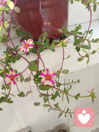 放過自己，就是擁抱世界配圖