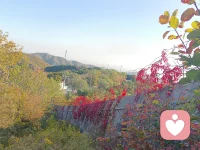 “我感覺回到了現實，真實感增強了。”

?很多被療愈過創傷的人都會有一種“落地”了的感覺，因為，以前，活得都非常不真實，飄飄悠悠的。
創傷會讓人有情感隔離的現象。
?配圖