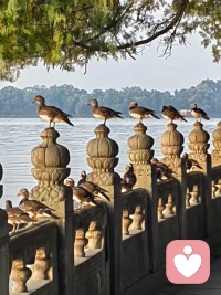 關(guān)?邊于?界：
?守?自住?己的門——懂?拒的?絕；
?不闖?人別?的門——尊?他重?人。
?
?在一定?則規(guī)?和邊界里?可才?以擁有真?的正?開心和自由！您?同認(rèn)?嗎？配圖