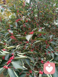 靜下心來(lái)，看看這些美景，你還會(huì)悲秋嗎？配圖