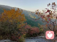 靜下心來(lái)，看看這些美景，你還會(huì)悲秋嗎？配圖