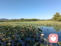 靜下心來(lái)，看看這些美景，你還會(huì)悲秋嗎？配圖
