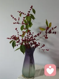 成長(zhǎng)，通往自由的唯一路徑。配圖