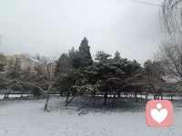 今天碰到一个老人家，在雪地遛小狗，抱怨成年儿子捡了小狗放家里就不管了，让他遛小狗，很辛苦。然后说，儿子被子也不叠，每天还要帮儿子叠被子………
累，在所难免呀！配图