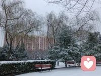 今天碰到一个老人家，在雪地遛小狗，抱怨成年儿子捡了小狗放家里就不管了，让他遛小狗，很辛苦。然后说，儿子被子也不叠，每天还要帮儿子叠被子………
累，在所难免呀！配图