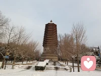 雪是自然送給人間的情書。

當大雪飛舞時，

訴說的是對大地的歡喜；

當雪凝結成冰時，

抒發的是對大地的堅貞。配圖