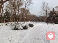 雪是自然送給人間的情書。

當大雪飛舞時，

訴說的是對大地的歡喜；

當雪凝結成冰時，

抒發的是對大地的堅貞。配圖