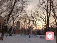 雪是自然送給人間的情書。

當大雪飛舞時，

訴說的是對大地的歡喜；

當雪凝結成冰時，

抒發的是對大地的堅貞。配圖
