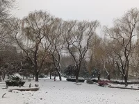 一個人可以被擊倒，但不可以被擊垮。
                                                                      ——海明威配圖