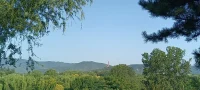 如果說不被愛是不走運，那么不會愛就是不幸了。


你今生的任務不是去尋找愛，
只是尋找并發現，
你內心構筑起來的，
那些抵擋愛的障礙。

——莫拉維·賈拉魯丁·魯米配圖