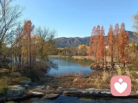 孩子是一個在我們家誕生的獨立靈魂。我們必須自己學會在這個世界上更多的去接受并熱愛與我們不同的一切，否則就無法真正的教育ta，給予ta所需要的一切。配圖