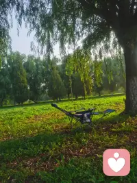 夏天追樹蔭
冬日逐暖陽
生活追求的就是隨心所欲不逾矩的狀態配圖