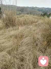 【荒蕪的精神家園】
——世界是看不見的，決定看得見的

?我們一直在努力
?努力建設我們的物質花園
?當曾經的愿望都已顯現
?有房有車有家庭。。。
?
?驀然回首了
?為什么不快樂
?曾經一無所有時的歡笑
一無所有時的淚水
那種心動的感覺竟那么的讓人迷戀

原來都是因為那個精神花園
他是綻放還是荒蕪
決定了我們生命的歸途

一起建設我們的精神花園
遠離焦慮與痛苦的如影隨形
體驗生命的喜悅與安寧

?陪伴生命，喜悅成長，感恩??
?敬心咨詢配圖