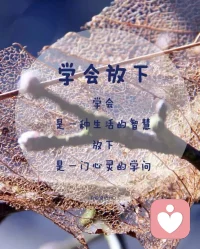 【你学会放下了吗】

​放下不是躺平，不是放弃
​放下是真正的拥有

​我们学会了对外在东西的获取方式
也带来了内在关注缺失的精神内耗
所以进入了越追求越焦虑，越焦虑越追求的状态

金钱之所以没有显现，是因为放不下贫穷的思维
幸福的生活之所以没有到来，是因为放不下痛苦的记忆
生命的智慧之所以没有彰显，是因为放不下过去的观念

放下旧有的执念，才能获得全新的接纳
放下外在的限制，才能获得内心的自由

你学会放下的能力了吗？
陪伴生命，喜悦成长，感恩❤️
敬心咨询🌹
​配图