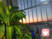 朝阳破晓映红了天
​草木苏醒照亮了眼
​当下的画面喜悦我
祝愿的心意常予君

陪伴生命，喜悦成长，感恩❤️
敬心咨询🌹
​配图