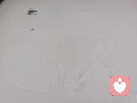 没有了秋日的色彩斑斓
只剩下冬日的一片洁白
还有那一份雀跃的纯真
❣️❣️❣️配图