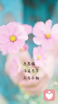 誰嘴里的我，誰眼里的我，都與我無關！
我只做我自己！配圖