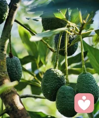 叮咚，上線，有想聊聊的朋友嗎？配圖