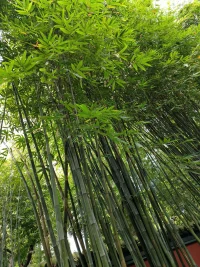 陪伴，傾聽是有效的支持。配圖