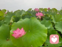 大自然沒有壞天氣，我若安好，便是晴天配圖