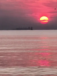 人生就是一场筛选，有选择的权利也允许被拒绝。配图