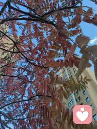 多彩的季节