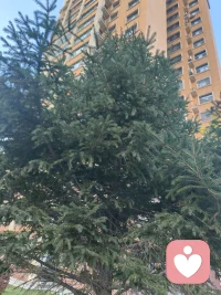 多彩的季节