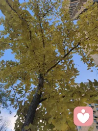 多彩的季节