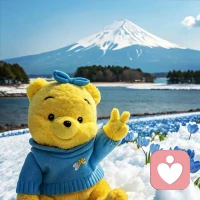 温柔要有，但不是妥协，我们要在安静中，不慌不忙的坚强——林徽因配图