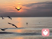 什么是控制？看到这两个字您的感觉是什么？两个字和一个词的感觉有什么不同？如果是我控制，那控制的到底是人？是事？还是内心的恐惧？如果我被控制呢？