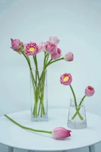 與其追求幸福，不如幸福的追求。當(dāng)你投入的學(xué)習(xí)、生活、工作，并在其中找到樂(lè)趣和價(jià)值的時(shí)候，幸福就會(huì)自然而然的降臨。所以，幸福其實(shí)就是投入和堅(jiān)持的副產(chǎn)品。
                                ——沈健師說(shuō)配圖